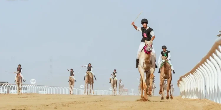 رباعية سعودية تحصد كؤوس «سباق الهجانة» في مهرجان ولي العهد للهجن