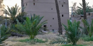 قصر السعيد التراثي في الشماسية يستعيد ملامحه بعد أكثر من 200 عام