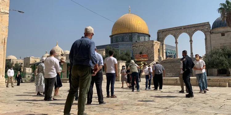 مستعمرون يقتحمون الأقصى وقوات الاحتلال تعتقل 16 فلسطينياً في الضفة
