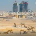 التوازن العقاري بالرياض ينتقل للتنفيذ.. تطوير البنية التحتية لـ10,024 أرضًا سكنية مخصصة للمستفيدين