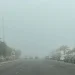 «الأرصاد» ينبه من ضباب ورياح نشطة على الشرقية