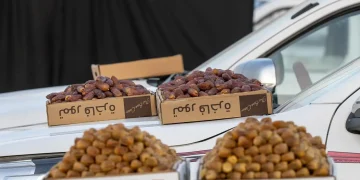 من «المحافر» إلى الكراتين.. تحول تدريجي في منظومة تسويق تمور القصيم