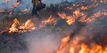 الأسبوع في 10 صور: أطفال غزة يلعبون فوق الركام.. والنيران تزحف نحو البيوت
