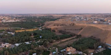 خبوب بريدة.. ذاكرة المكان التي تحكي علاقة الإنسان بالأرض والماء وتحولات المدينة