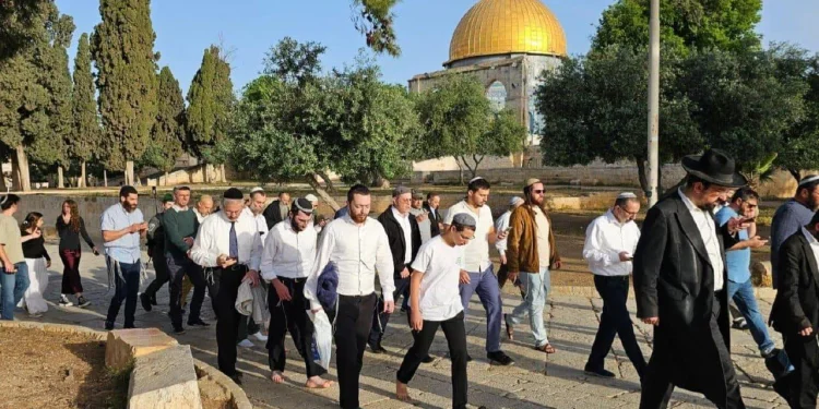 مئات المستعمرين يقتحمون المسجد الأقصى بحماية قوات الاحتلال