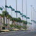 50,000 علم سعودي تزيّن طرق جازان وميادينها احتفاءً باليوم الوطني