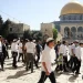 اقتحام جديد للأقصى بقيادة مسؤول في سلطات الاحتلال
