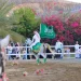 عروض الفروسية تزيّن احتفالات اليوم الوطني في محافظة العقيق