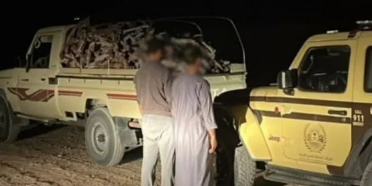 القوات الخاصة للأمن البيئي تضبط مواطناً ومقيماً نقلا حطباً محلياً من محمية الإمام تركي