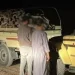 القوات الخاصة للأمن البيئي تضبط مواطناً ومقيماً نقلا حطباً محلياً من محمية الإمام تركي