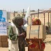 الأمم المتحدة: أزمة التمويل تهدد مساعدات 8.3 ملايين لاجئ ونازح حول العالم