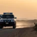 القبض على مواطن نقل مخالفاً يمنياً في جازان وإحالته للنيابة العامة