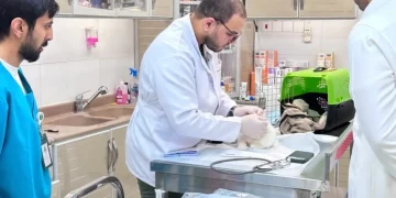 «وقاء» حائل يطلق حملة تحصين مجانية للحيوانات الأليفة ضد السعار