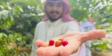 في اليوم العالمي للقهوة.. 78 أصلًا وراثيًا توثّق تنوع البن السعودي