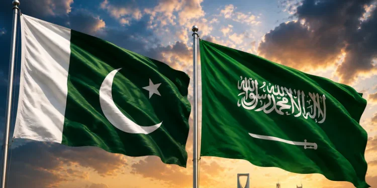 باكستان تدين هجوم الحوثيين على محطة كهرباء المدينة المنورة.. وتؤكد دعمها للسعودية
