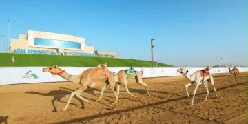 تعرف على النتائج.. ميدان نجران يُقيم سباق الميادين لـ «الحقايق» بـ 13 شوطاً