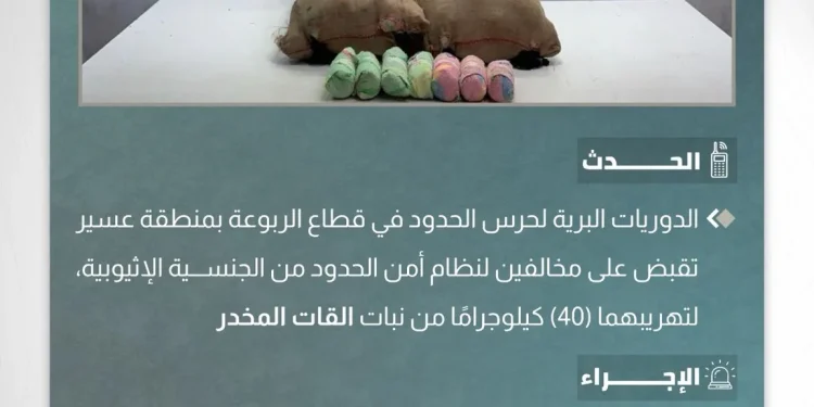 حرس الحدود بعسير يضبط مهربَين بحوزتهما 40 كيلوجراماً من القات