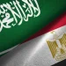 مصر تدين بشدة الهجمات التي استهدفت مطار الملك خالد