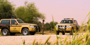 ضبط مواطن خليجي يرعى 11 متنًا من الإبل في محمية الملك عبدالعزيز الملكية