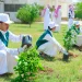 معهد العاصمة النموذجي ينفّذ مبادرة «مدن الجمال الحضري» بشراكة مع مكتب مدينتي المعذر
