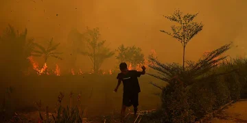 حرائق الغابات تلتهم 305 منازل في إندونيسيا وتُجلي 500 شخص