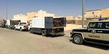 ضبط 3 مواطنين بالقصيم بحوزتهم حطب محلي معروض للبيع