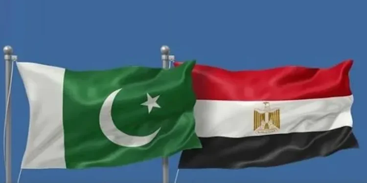 وزيرا خارجية باكستان ومصر يدينان هجمات الحوثيين على المملكة