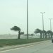 “الأرصاد” ينبّه من رياح نشطة وعواصف رعدية في تبوك وحائل