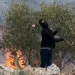 عنف المستوطنين يتحوّل إلى عبء سياسي على نتنياهو عشية الانتخابات