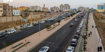 أمانة عسير تزرع مليون زهرة شتوية لتأمين ثورة بصرية وتنافسية سياحية كبرى