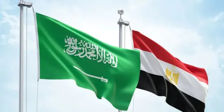 مصر تدين الهجوم على مطار الملك فهد الدولي بالدمام