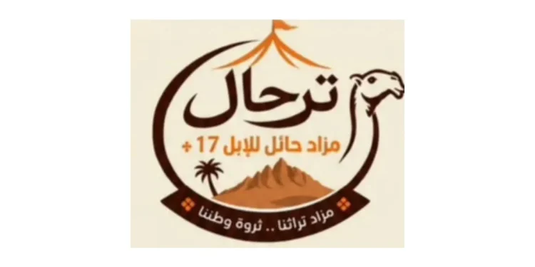 مزاد حائل للإبل في نسخته الـ17 ينطلق اليوم بمشاركة 130 مالكاً وأكثر من 4 آلاف متن