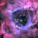 مرصد نور الفلك بالقصيم يوثّق سديم الوردة وعنقود NGC 2244