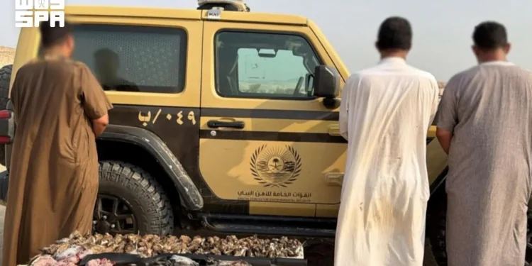 ضبط 3 مواطنين صادوا 115 كائناً فطرياً بالمدينة المنورة دون ترخيص